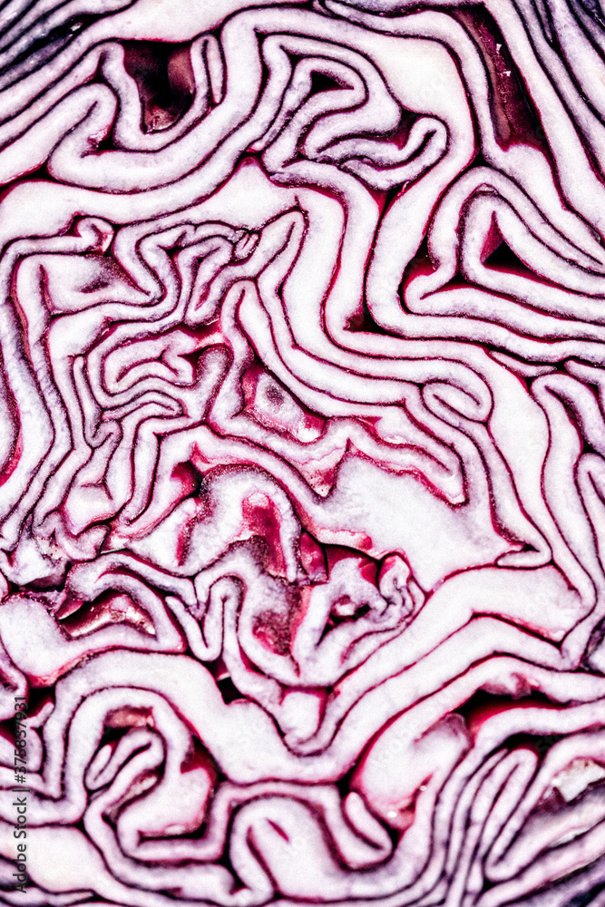 Sliced red cabbage macro. Sliced red cabbage macro.