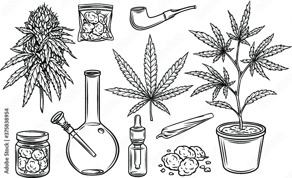 Bong for smoking weed. Smoking cannabis. vector - Stock