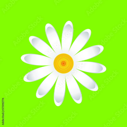 Fototapeta Naklejka Na Ścianę i Meble -  The chamomile flower. Single flower white daisies made of simple geometric shapes on a green background, icon, vector