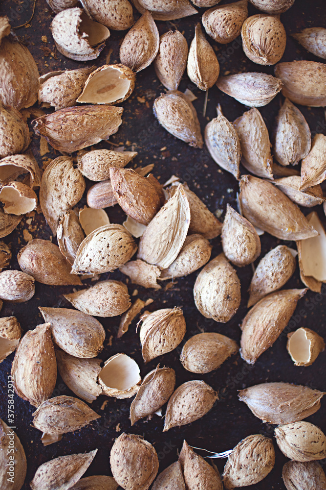 homegrown almond nuts collected and dried ready to eat homegrown almond nuts collected and dried ready to eat