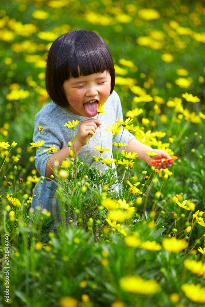 happy little girl in spring field happy little girl in spring field