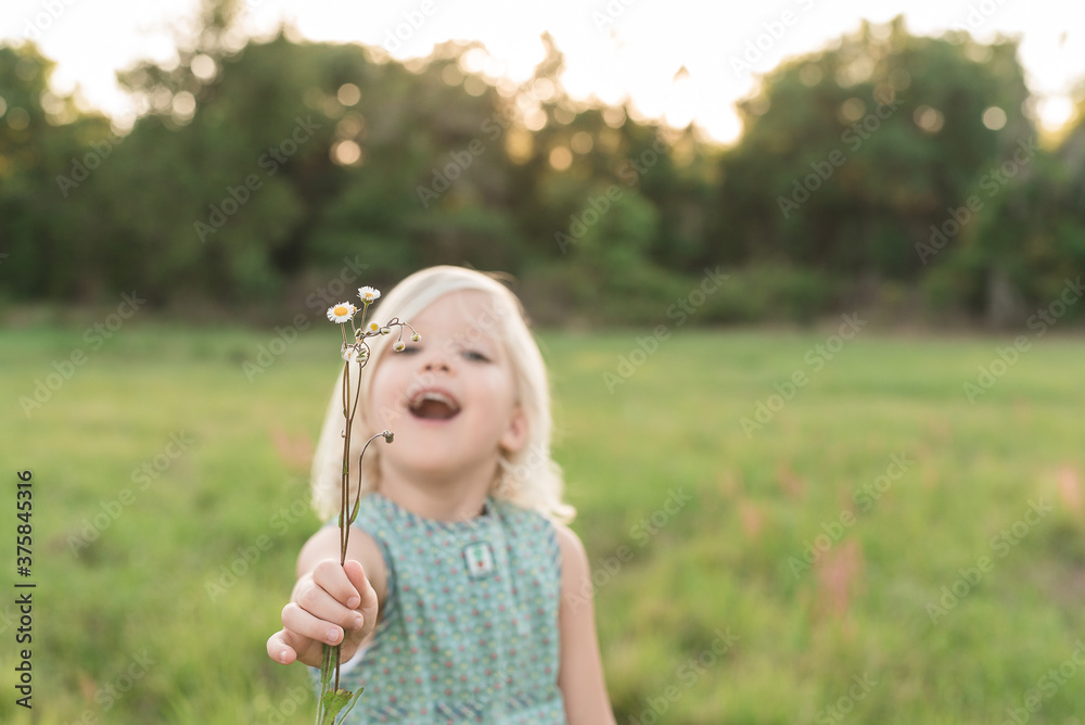 A 5 Year Old Girl Holds Out Her Picked Flowers A 5 Year Old Girl Holds Out Her Picked Flowers
