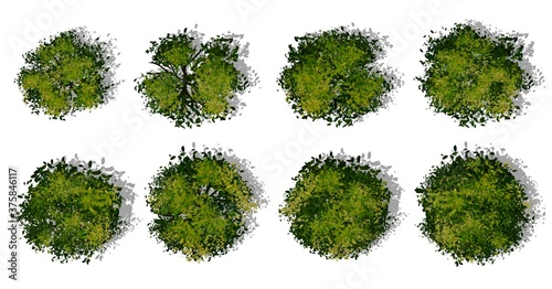 set of green grass, Set of watercolor tree top view for landscape plan and architecture layout 