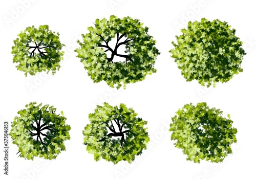 Set of watercolor tree top view for landscape plan and architecture layout 