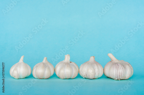 Group of garlic heads on blue background