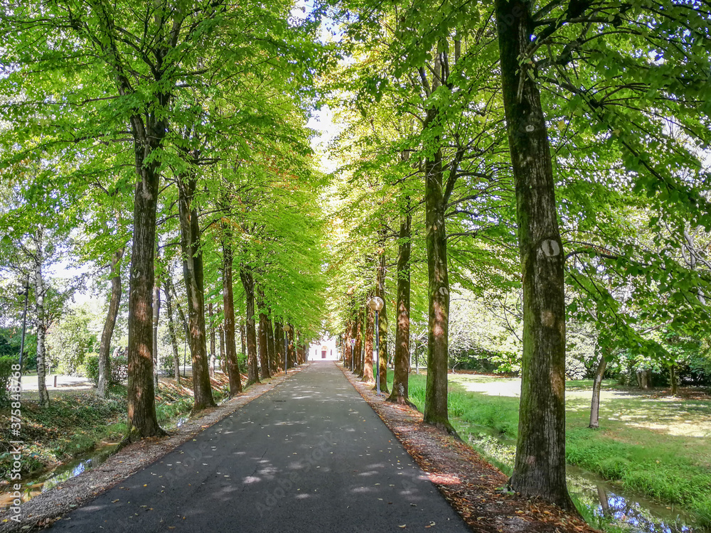 Avenue of the small church of the Noce in Camposampiero, Padua - Italy