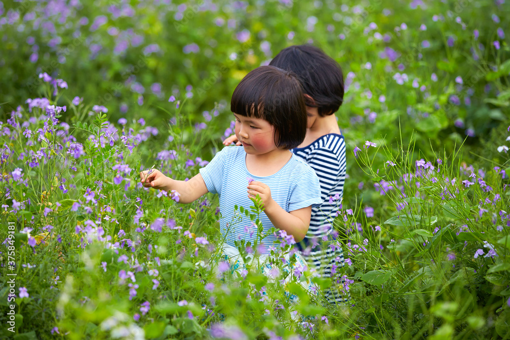 two lovely little girls picking flowers outdoor in the spring field two lovely little girls picking flowers outdoor in the spring field