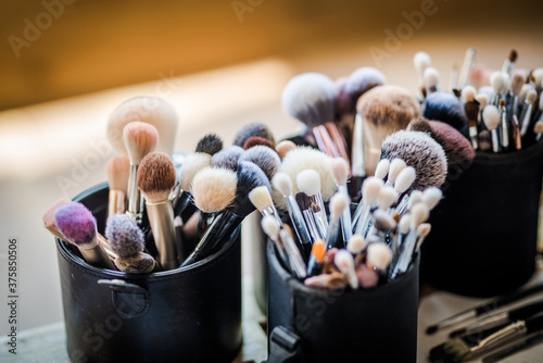 Variety of professional make up brushes