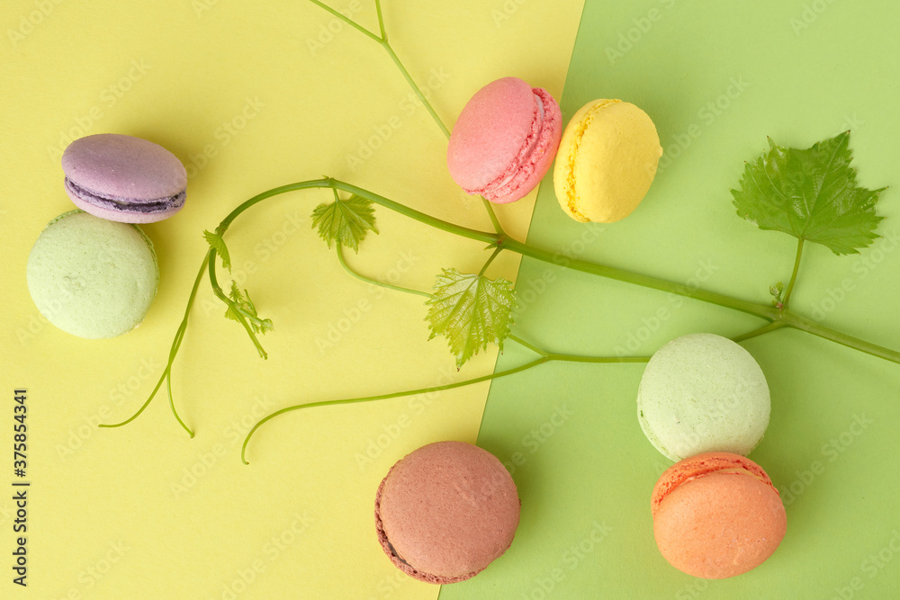 round multi-colored baked macarons, top view round multi-colored baked macarons, top view