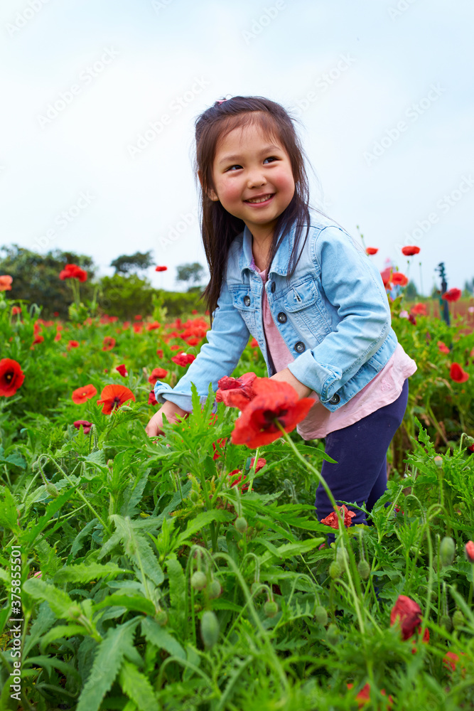 lovely little asian girl in the poppy filed lovely little asian girl in the poppy filed