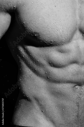 torso with water
