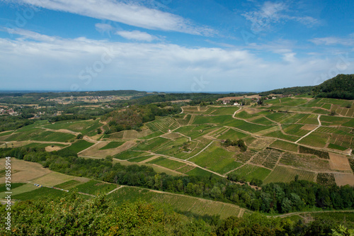 Green vineyards located on hills of Jura French region ready to harvest and making red, white and special jaune wine, France