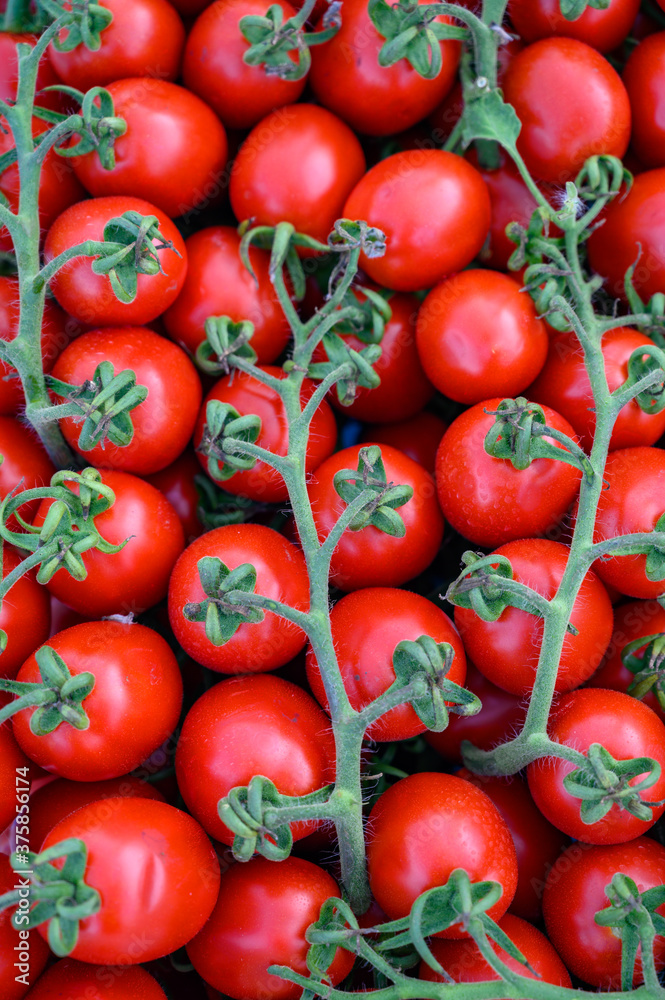 Sweet ripe red Italian cherry tomatoes in box on farmers market