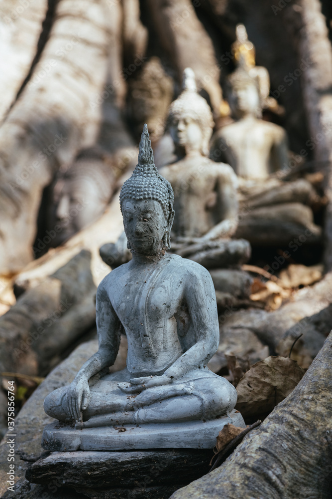 detail of Historic Town of Sukhothai, Thailand. detail of Historic Town of Sukhothai, Thailand.