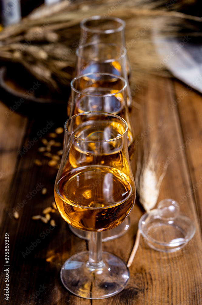 Tasting glasses with aged Scotch whisky or bourbon on old dark wooden vintage table with barley grains Tasting glasses with aged Scotch whisky or bourbon on old dark wooden vintage table with barley grains