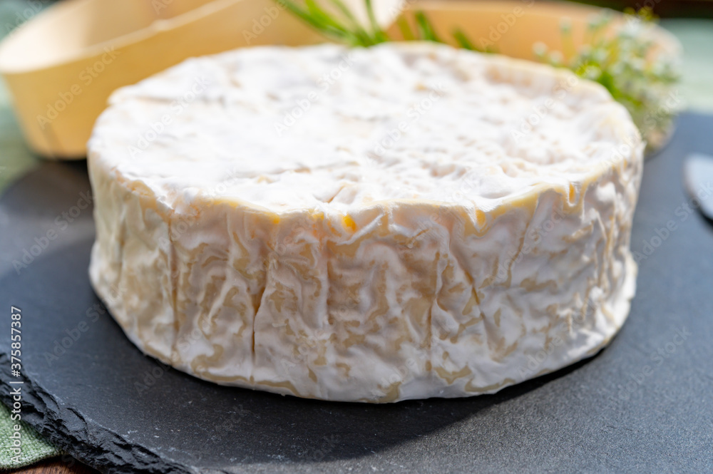 French cheeses collection, piece of matured camembert cow milk cheese with white mold French cheeses collection, piece of matured camembert cow milk cheese with white mold