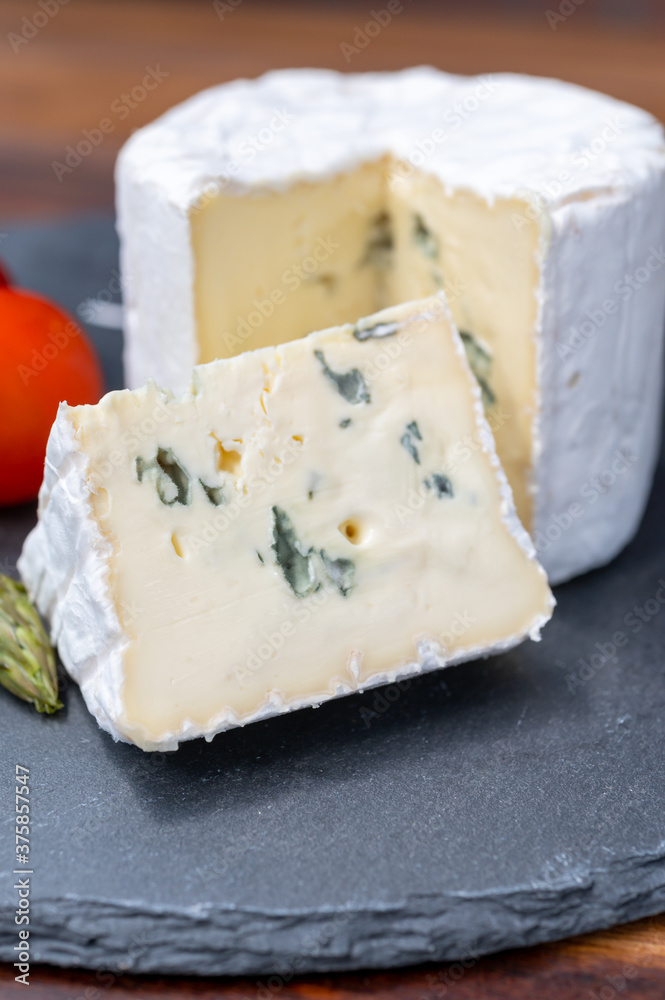 French cheeses collection, piece of Le Bleu cow milk soft blue cheese with white mold.