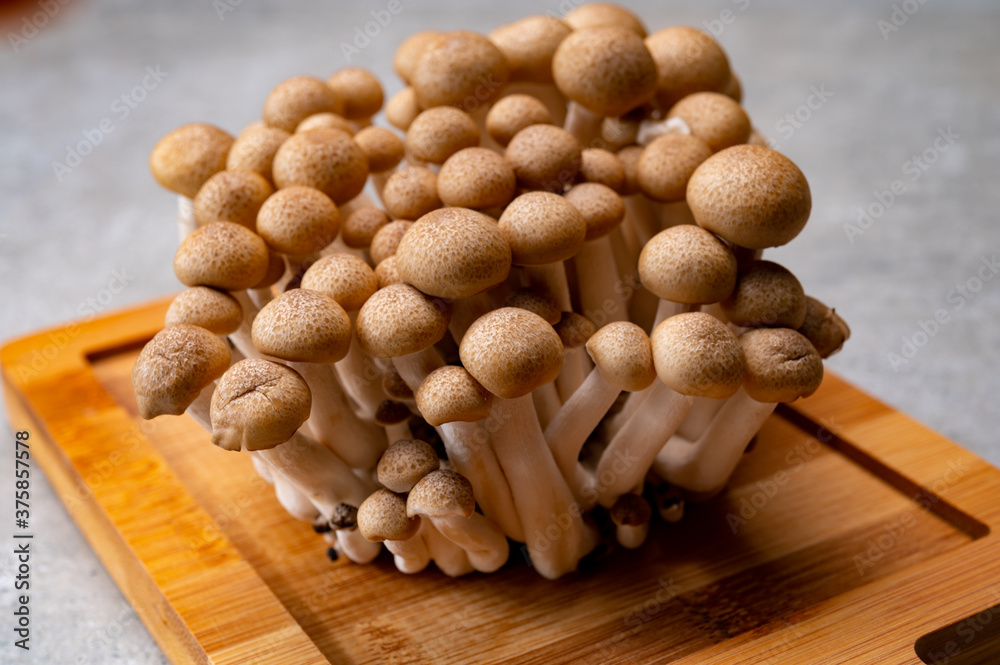 Fresh buna brown shimeji edible mushrooms from Asia, rich in umami tasting compounds such as guanylic and glutamic acid Fresh buna brown shimeji edible mushrooms from Asia, rich in umami tasting compounds such as guanylic and glutamic acid