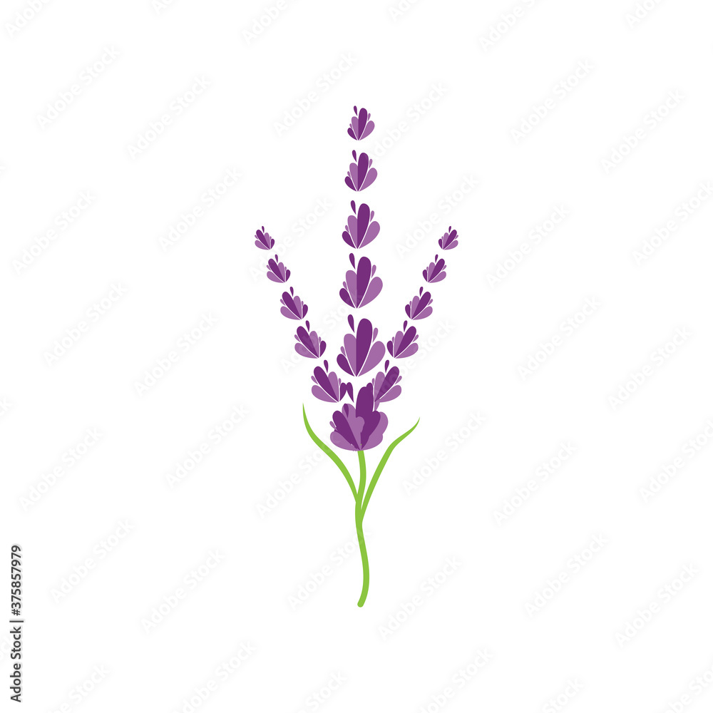 Obraz premium Lavender Logo Template vector symbol