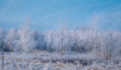 Wallpaper Mural Szadź Torontodigital.ca