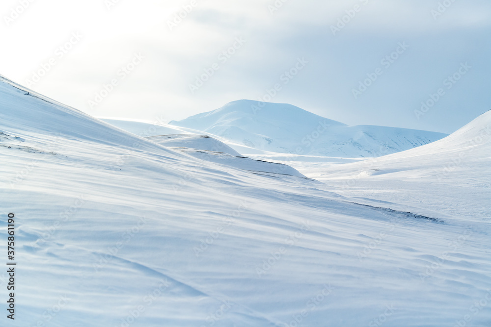 Hillside on Svalbard, Spitsbergen Archipelago	