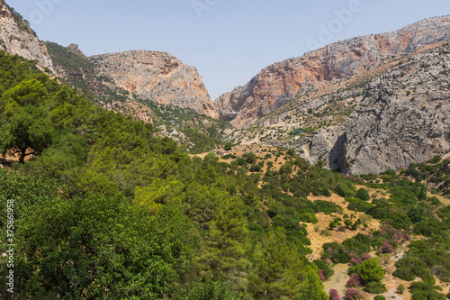 the king's path in navarra © Miguel