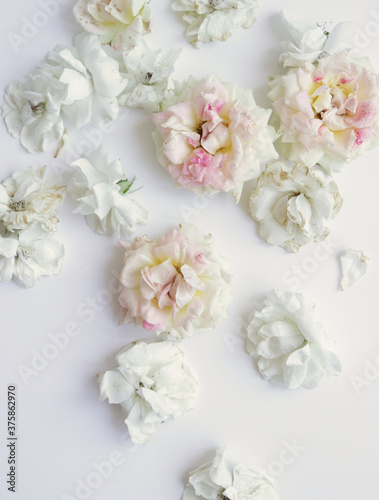 Fresh Flower photo flat lay, fresh roses background, fashion image © Ekateryna