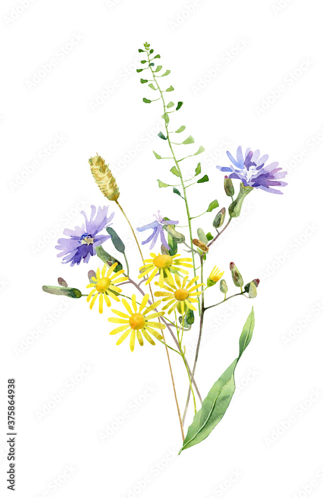 Obraz premium Watercolor bouquet of herbs and wild blue and yellow flowers