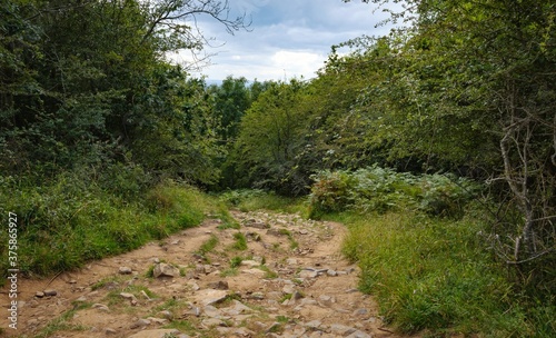 Cliffs of Cheddar Gorge from high viewpoint. High limestone cliffs in canyon in Mendip Hills in Somerset, England photo