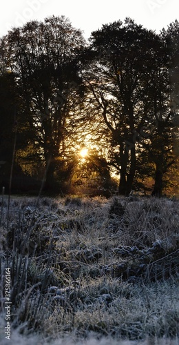 Golden Sunrise Over Frosty Irish Rural Landscape
