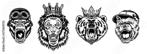 Animal angry characters set. Gorilla in biker helmet, lion and bear in riyal monarch crown, bulldog in gangster cap with open jaws. Vintage monochrome vector illustrations isolated on white background