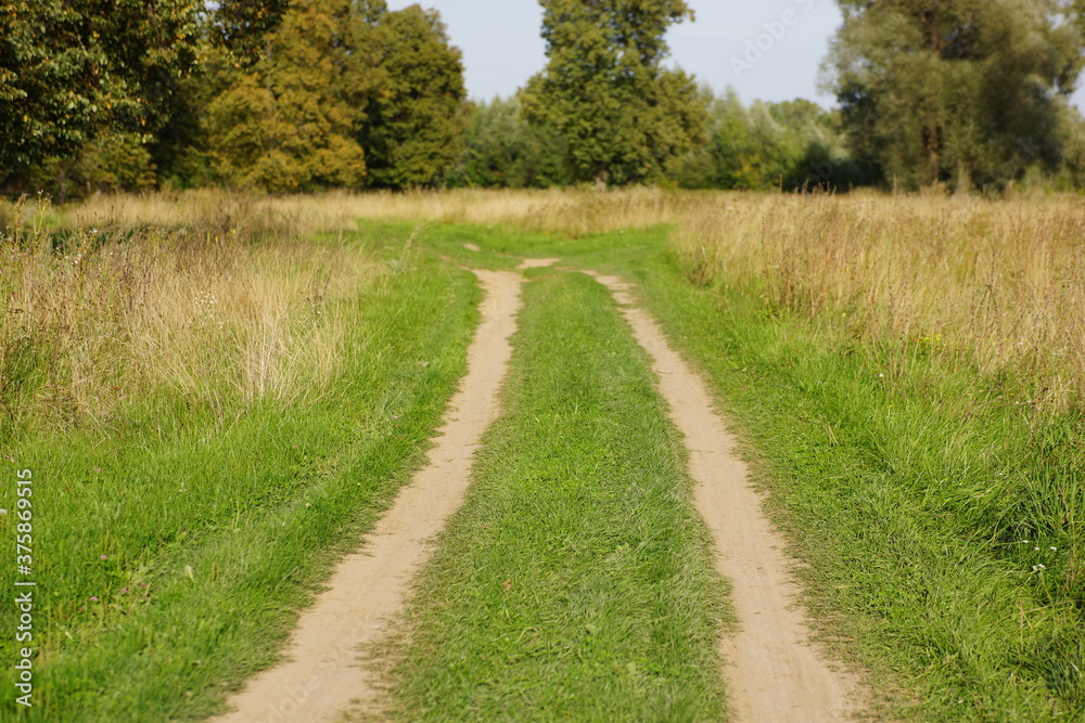 dirt road in the field dirt road in the field