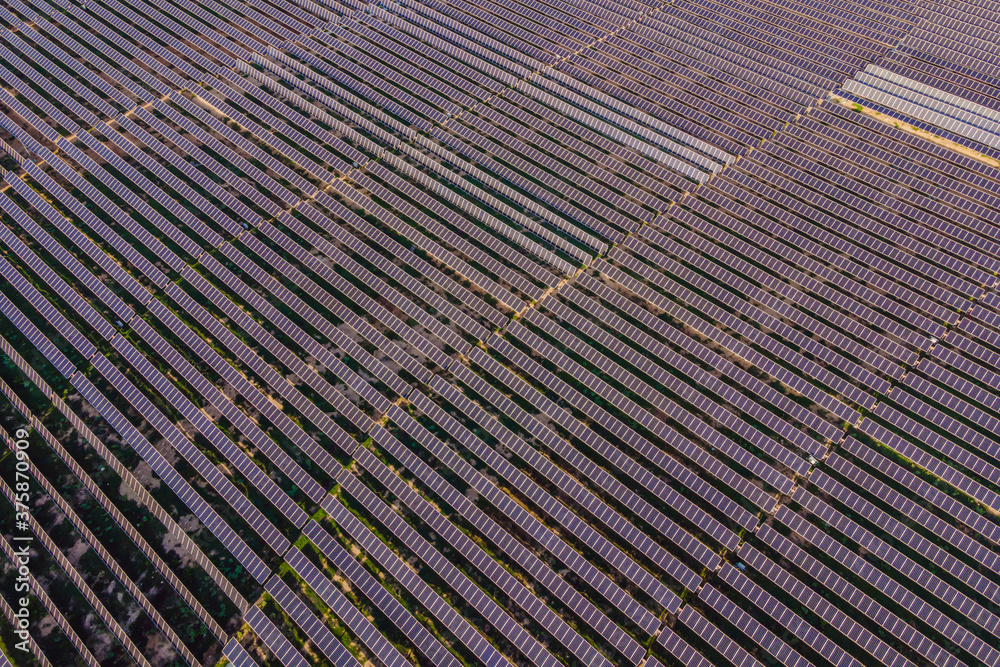 Aerial view of the solar panel in solar farm for green energy Aerial view of the solar panel in solar farm for green energy