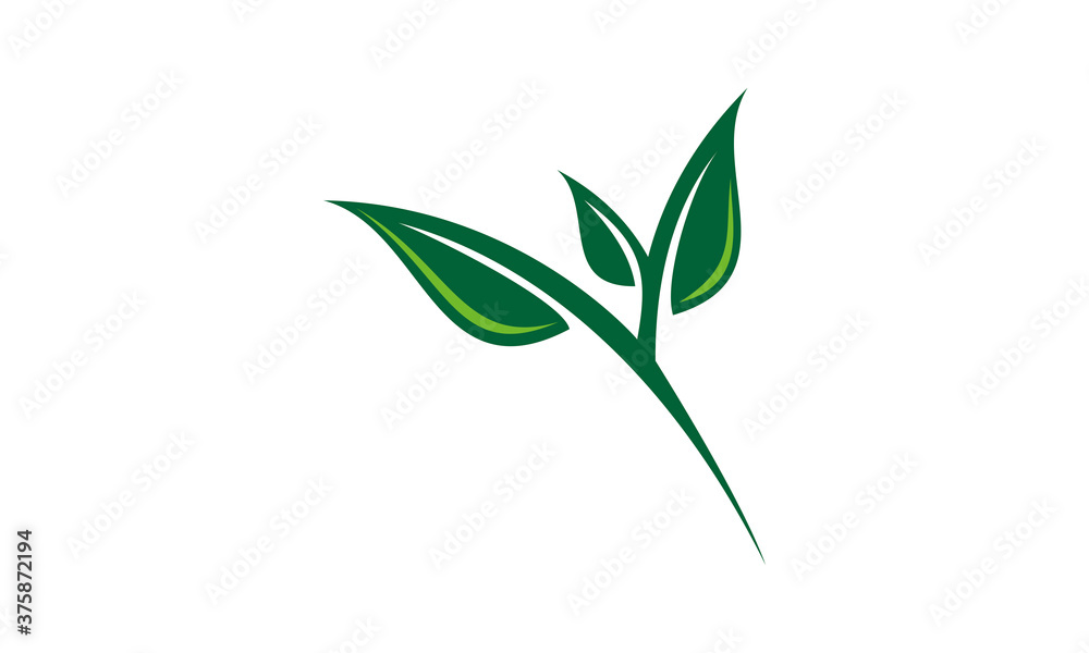 ecology leaf vector logo
