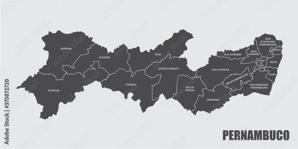 Fototapeta premium The Pernambuco State map divided in regions with labels, Brazil