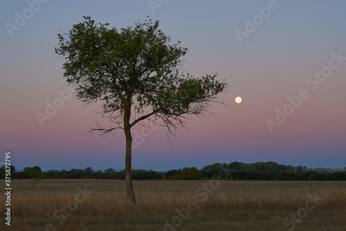 Wallpaper Mural Autumn time. Dawn over the river in a misty, brooding haze. Beautiful view of the forest and river, covered with fog in the early morning. The sun's rays of light. September. Torontodigital.ca