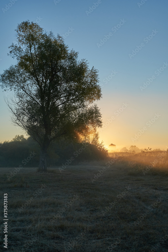 Autumn time. Dawn over the river in a misty, brooding haze. Beautiful view of the forest and river, covered with fog in the early morning. The sun's rays of light. September. Autumn time. Dawn over the river in a misty, brooding haze. Beautiful view of the forest and river, covered with fog in the early morning. The sun's rays of light. September.