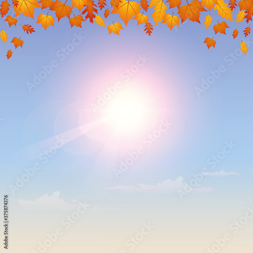 falling autumn leaves on sunny sky background vector illustration EPS10