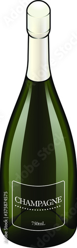 A bottle / magnum of champagne. Plain label.