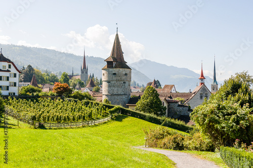 Stadt Zug, Stadt, Zug, Altstadt, Kapuzinerturm, Stadtmauer, St. Oswald, St. Michael, Kirche, Guggi, Rosengarten, Weinberg, Spazierweg, Zugerberg, Berge, Sommer, Zugersee, Zentralschweiz, Schweiz photo