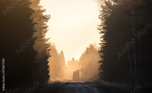 Εκτύπωση καμβά Distant truck loading tree logs on the early morning golden mist clad forest roa