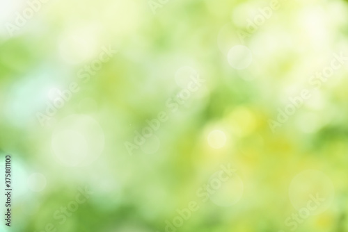 Abstract Fresh green background 