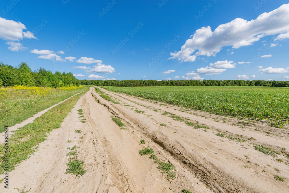 Road by the field at summer day time. Road by the field at summer day time.