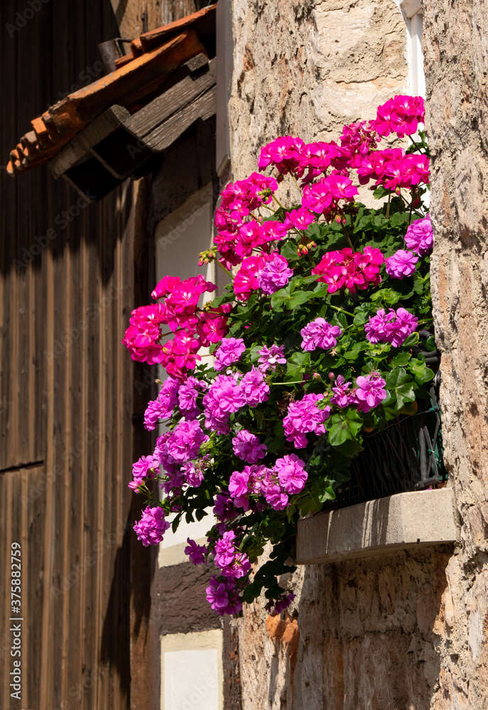 Fototapeta premium Blumenschmuck