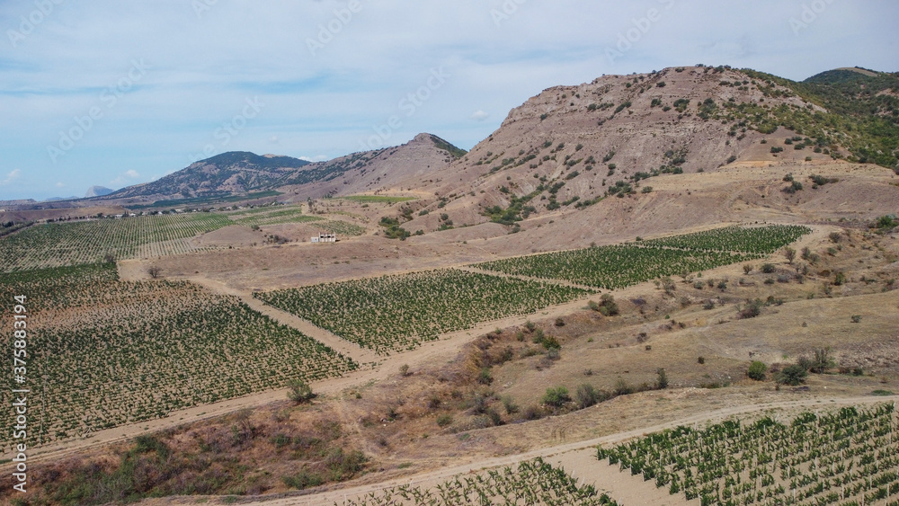 Aerial view on beautiful vineyards in the scenic valleys with views of the mountains. Crimea. 