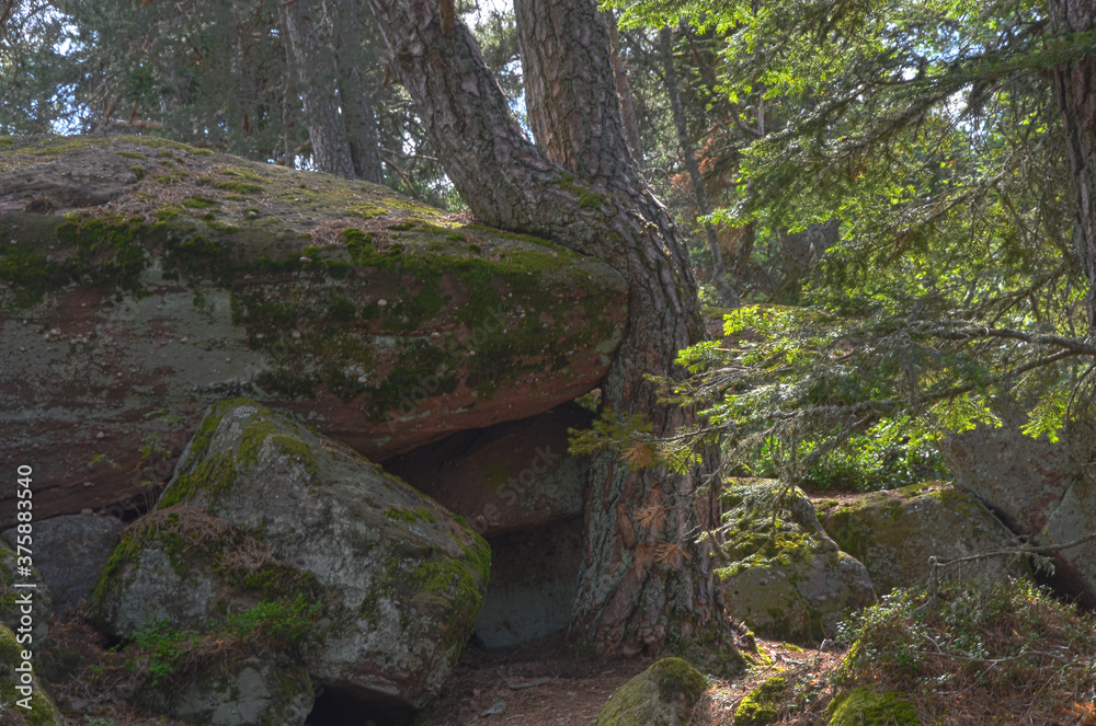Les rochers tremblants du Grand Hohnack, un site mystique