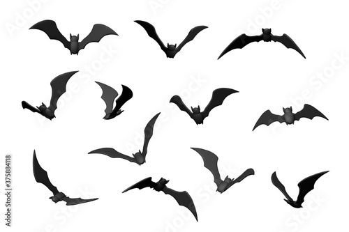 Flying black bat isolated on white background. Halloween set. 3d render © adragan
