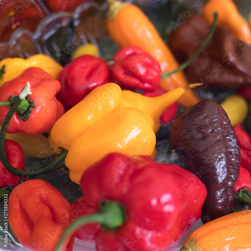 Various types of hot yellow, red, brown peppers in a bowl for table decoration