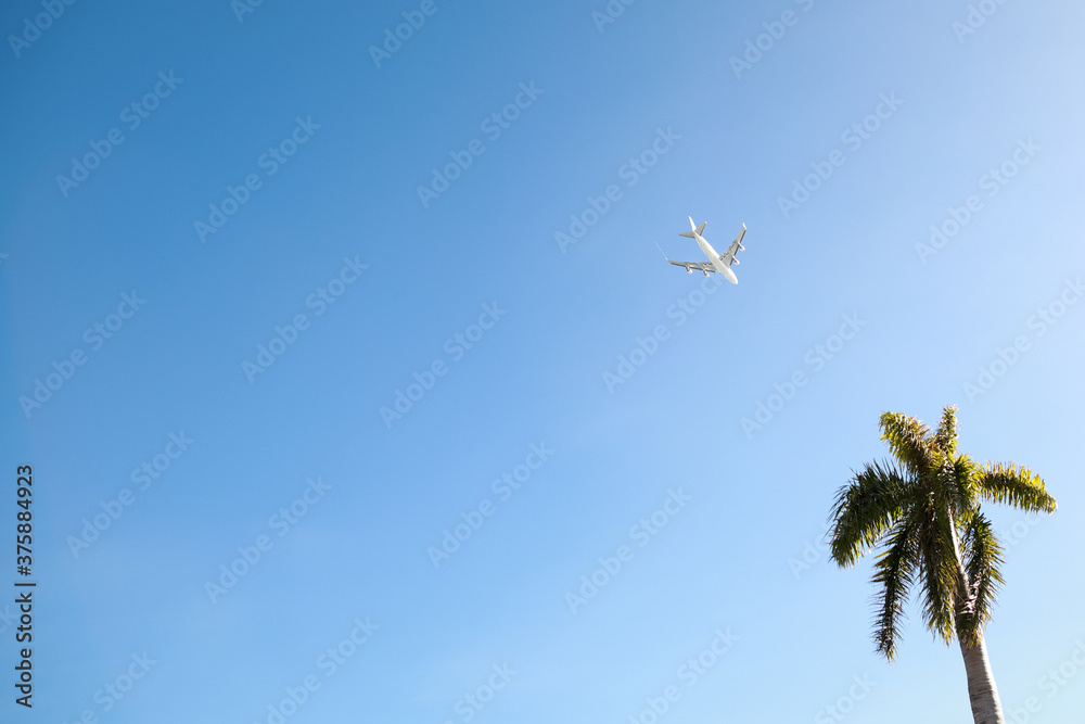 aircraft in blue sky with palm tree and copy space aircraft in blue sky with palm tree and copy space