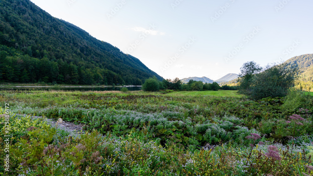 Seerundweg am Hintersee in Salzburg